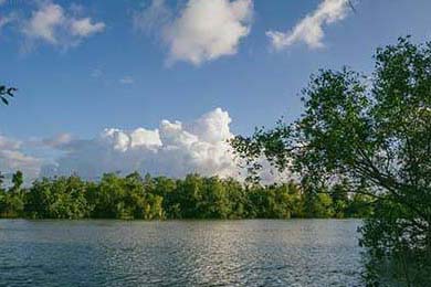 新媒体运营工具：这5个神器让我从秃头小编变摸鱼达人！