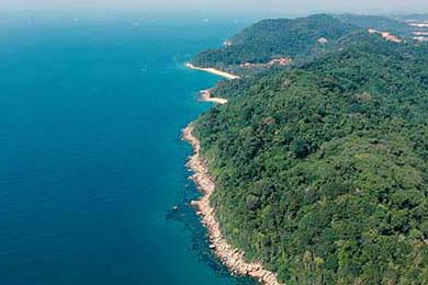 易撰查重入口 找不到的看这里！这4个工具能让你少踩80%的坑！